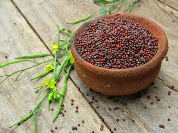 Musterd Seeds - 250g