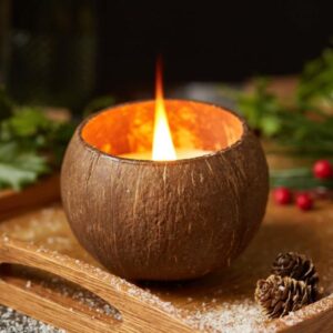Blue-lily Coconut Shell Candle with Stand